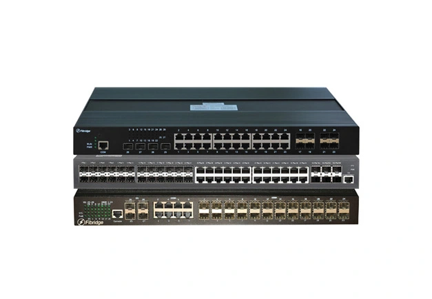 Access Network Switch