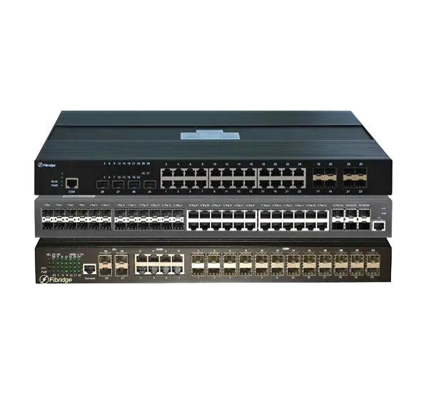 Access Network Switch