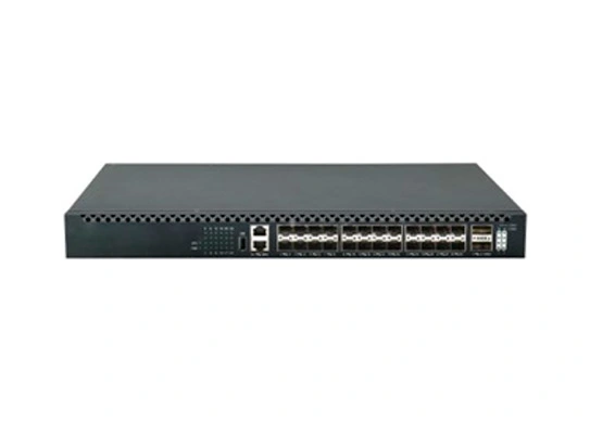 24 port 10g switch