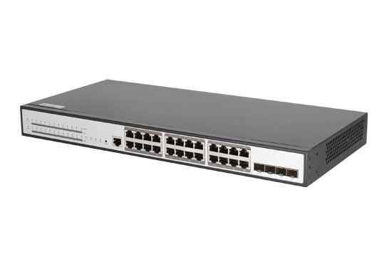 network switch 10g